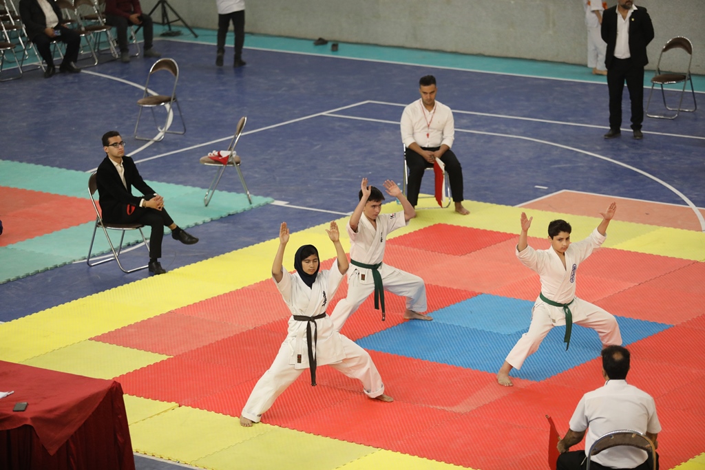 Int’l Kyokushin Competition Held in Pardis Technology Park